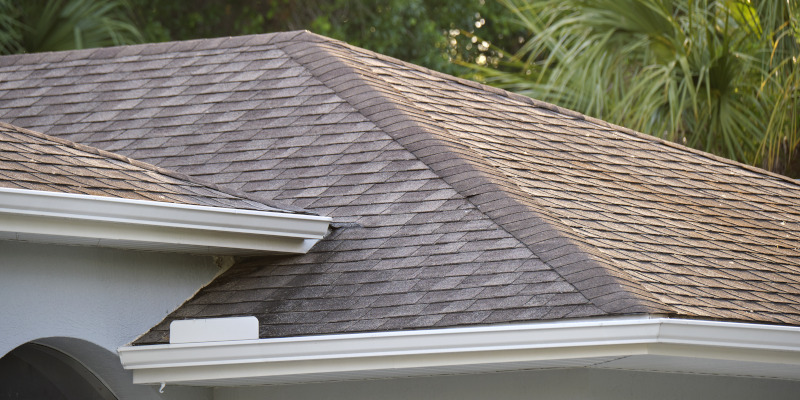 Roof Cleaning: The Secret to Curb Appeal and a Long-Lasting Roof